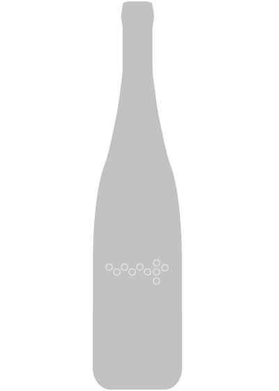 VV Rosé Pinot Noir QW tr. - 2022